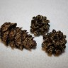 Conuri de brad mici, aurite cu glitter si lacuite pentru rezistenta, 3-4 cm; VANDUTE